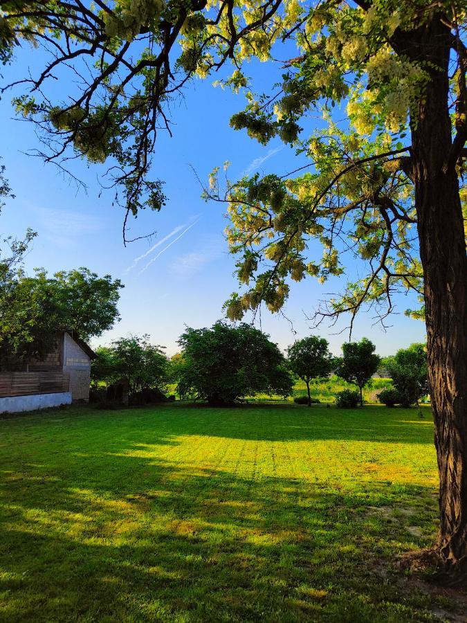 Ethno&Coffee House Tulip Bed and Breakfast Glozan Exterior foto
