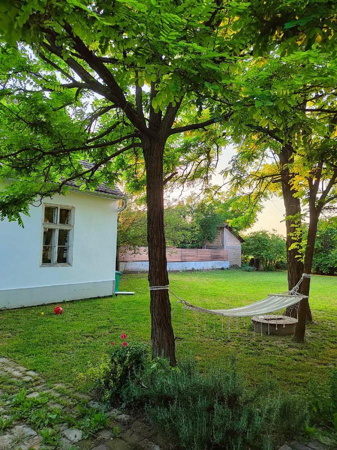 Ethno&Coffee House Tulip Bed and Breakfast Glozan Exterior foto