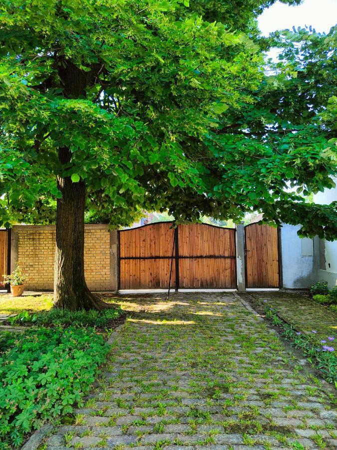 Ethno&Coffee House Tulip Bed and Breakfast Glozan Exterior foto