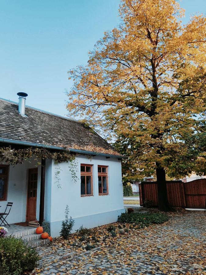 Ethno&Coffee House Tulip Bed and Breakfast Glozan Exterior foto
